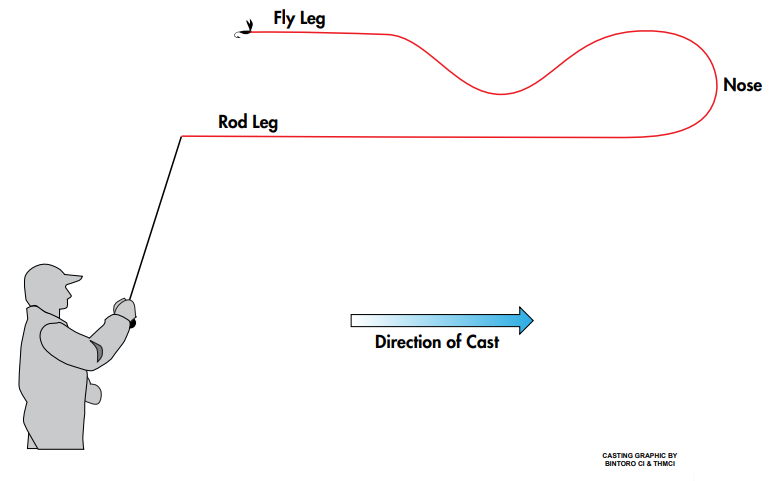 Concave Fly Leg